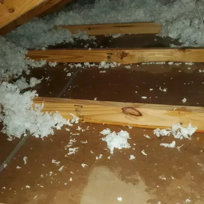 Attic Water Damage in Idaho City, ID