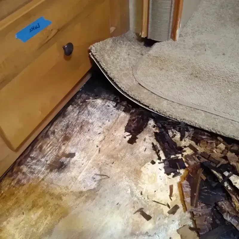 Wood Floor Water Damage in Idaho City, ID